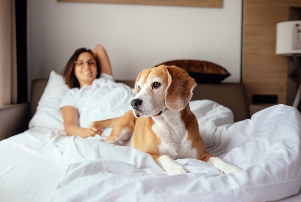 A dog and his female owner lying on the bed of a hotel.